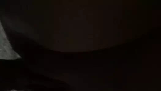Bu kediyi seviyorum