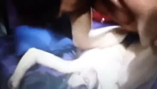 kıllı piliç alır çarptı