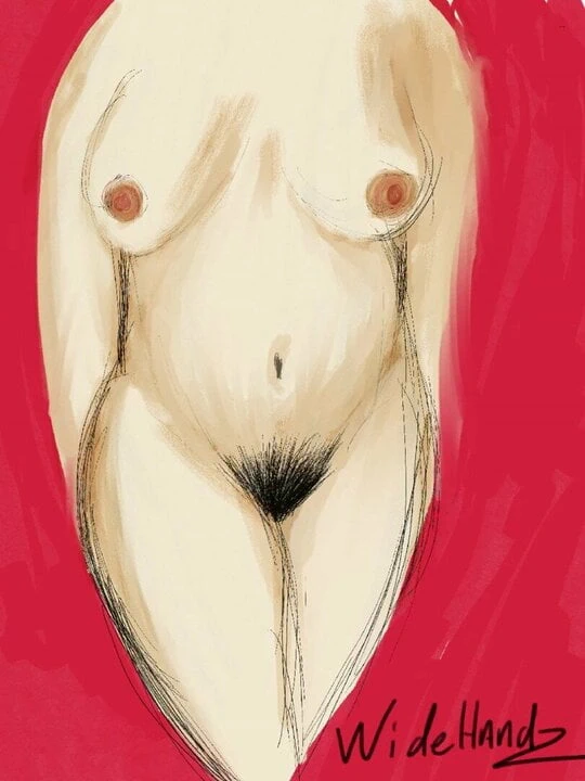 Widehhandz kroki 002 son versiyonu