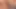 Latin dolgun Bayan Spice masöre amını oynuyor