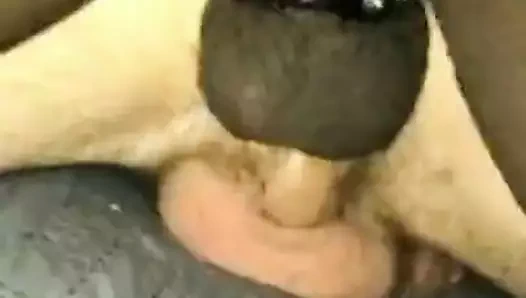 Eşcinsel aile boşalmak için. 3-4 erkek eşcinsel aile fikri