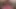 Kanadalı redhead anne mae victoria gets ona butthole delinmiş