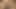Açık havada ormanda seksi bacaklı azgın tavşanı takip et 4k