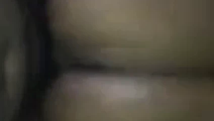 Büyük ganimet siyah kaltak