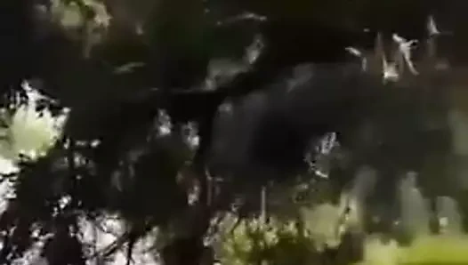 Yashal khan porno video bölüm 2