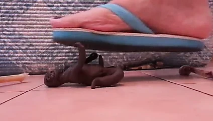 Zombi dev hemşire ayağı ve parmak arası terlik altında ezildi