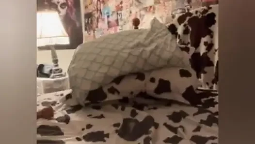 Şişman kedi derlemesi