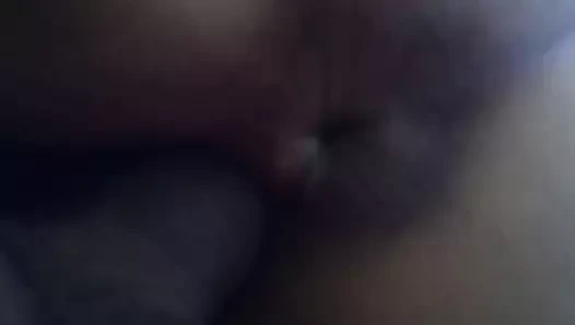 Bu fıçılar egzersizi o kediyi sıkılaştırdı