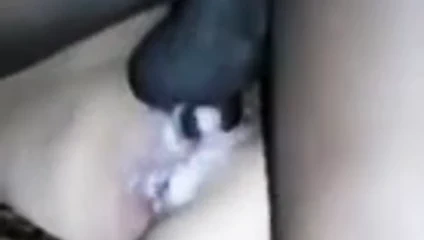 kremsi KEDİ &amp; ayrılmaz