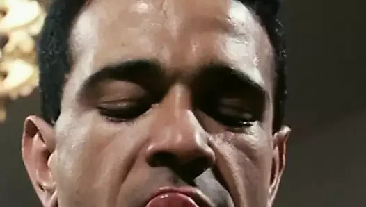 Orgasmes Sur Le Danube