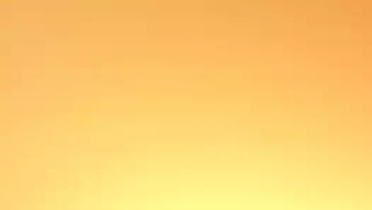 Phoenix köpek stili