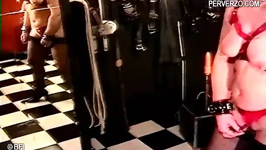 Hollandalı karımı nasıl kötüye kullanırım