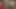 Birbirlerine mastürbasyon yapıyor ve birlikte boşalıyor