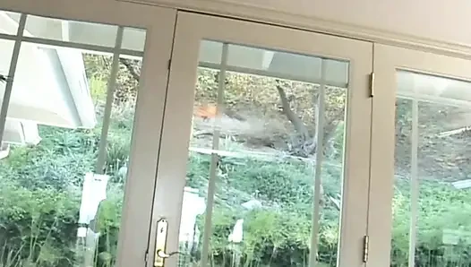 Irklararası delilik