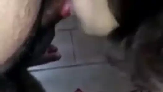 madre soltera mexicana mamada por dinero