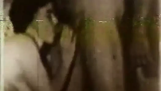 Wannabe film yıldızı roller için lanet (1940'larda vintage)