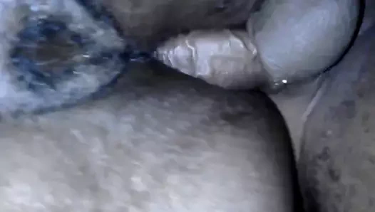 Auntie var o sıcak sulu kedi