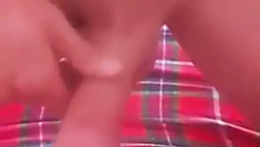 Cum üzerinde kedi ve kamera