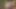 Azgın genç, yabancının aletini ve dışarıda oral Creampie'yi emiyor