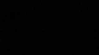 Dev ganimet mel wiggle