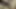 Şehvetli MILF Cheval Dildo Satıcısı Tarafından Sevişiyor