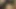 Olgun civciv can direnmek bir büyük horoz