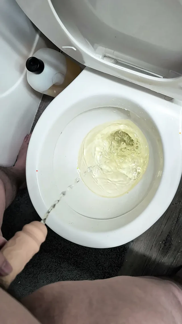 Ayakta işeme yavaşlatılmış