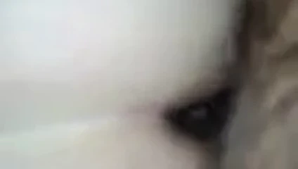 Başka bir iş arkadaşı