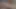 Yine üvey kız kardeş evde yalnızken üvey erkek kardeşiyle oynuyor
