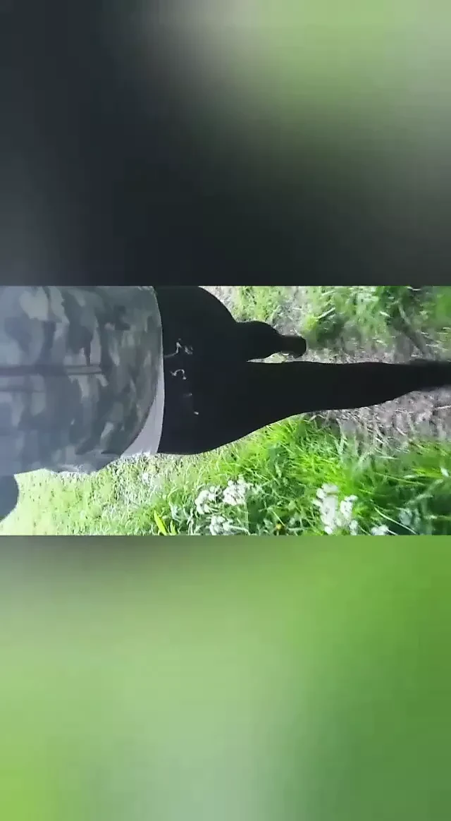 Halka açık döl yürüyüşü seks işiyor