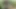 3 gerçekten sevimli kız, biraz yapma ile striptiz kartları oynuyor
