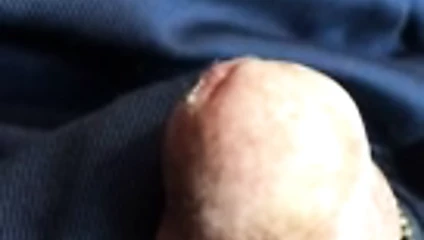 Sivrisinek üzerinde benim çük horoz