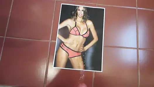 Melissa satta döl haraç 2