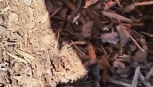 Olgun sürtük ilk kez