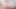 Latin bbw angelina castro köpek latino tarafından becerdin!
