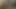 Web kamerası