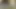 Porno yıldızı dani daniels record kendini Mastürbasyon