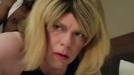 siyah horoz içinde amatör cd