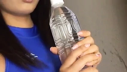 Mavi mayo kabarık kedi