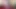 Bareback dream boys - Part #2 - 100% Bareback