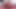 Irklararası oral oral seks siyah dildoya güzel bir Latin kız tarafından yapılmış, büyük kalçalara sahip
