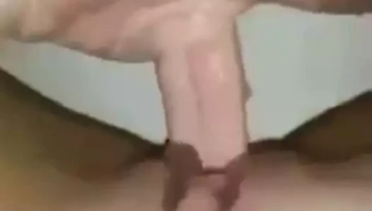 Bulgaristan