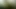 Mini Vid 4