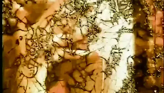 Blonde vintage MILF sucks and takes cock in her hairy beaver (No audio but music)