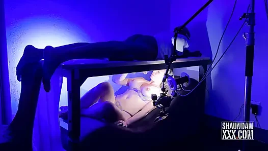 За кулисами доильный стол леди Lorreign