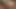 Lexi kartel creampied tarafından dev siyah horoz