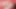 Mmd touhou futanari reimu hakurei derleme