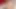 Üniversite öğrencisi web kamerası üzerinde oynuyor