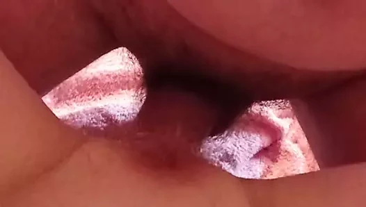 Onun horoz içinde benim kırmızı kedi