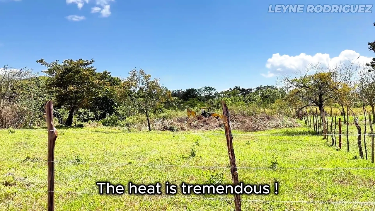 HD Sexy Milf Desperate For Money Gets Boned By Farmer Pov Amateur Porn Feat Leyne Rodriguez (4K Ultra) - Toronto Special